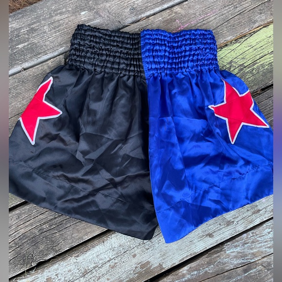 Fairtex Blue and Black Muay Thai Shorts - Picture 3 of 11